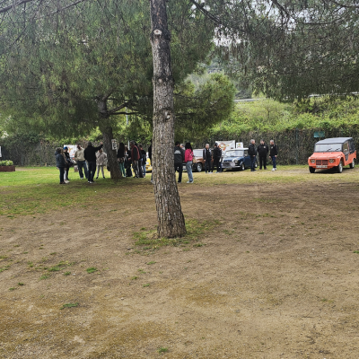 20250426 120615 Classic